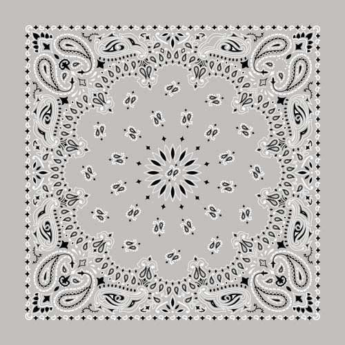 BD252 Bandana Paisley Silver