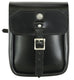DS4020 Premium Leather Large Tool Bag for Sissybar